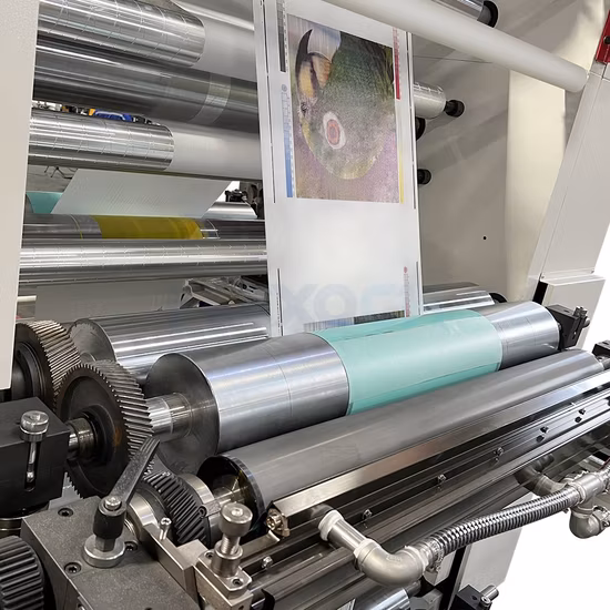 Changhong Polyethylene Bag High Speed Four Color Flexo Printing Machine