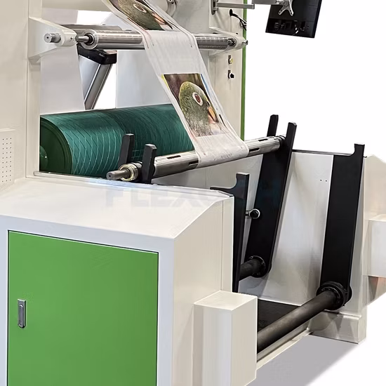 Macchina da stampa flessografica ad alta velocità a quattro colori con sacchetto in polietilene Changhong